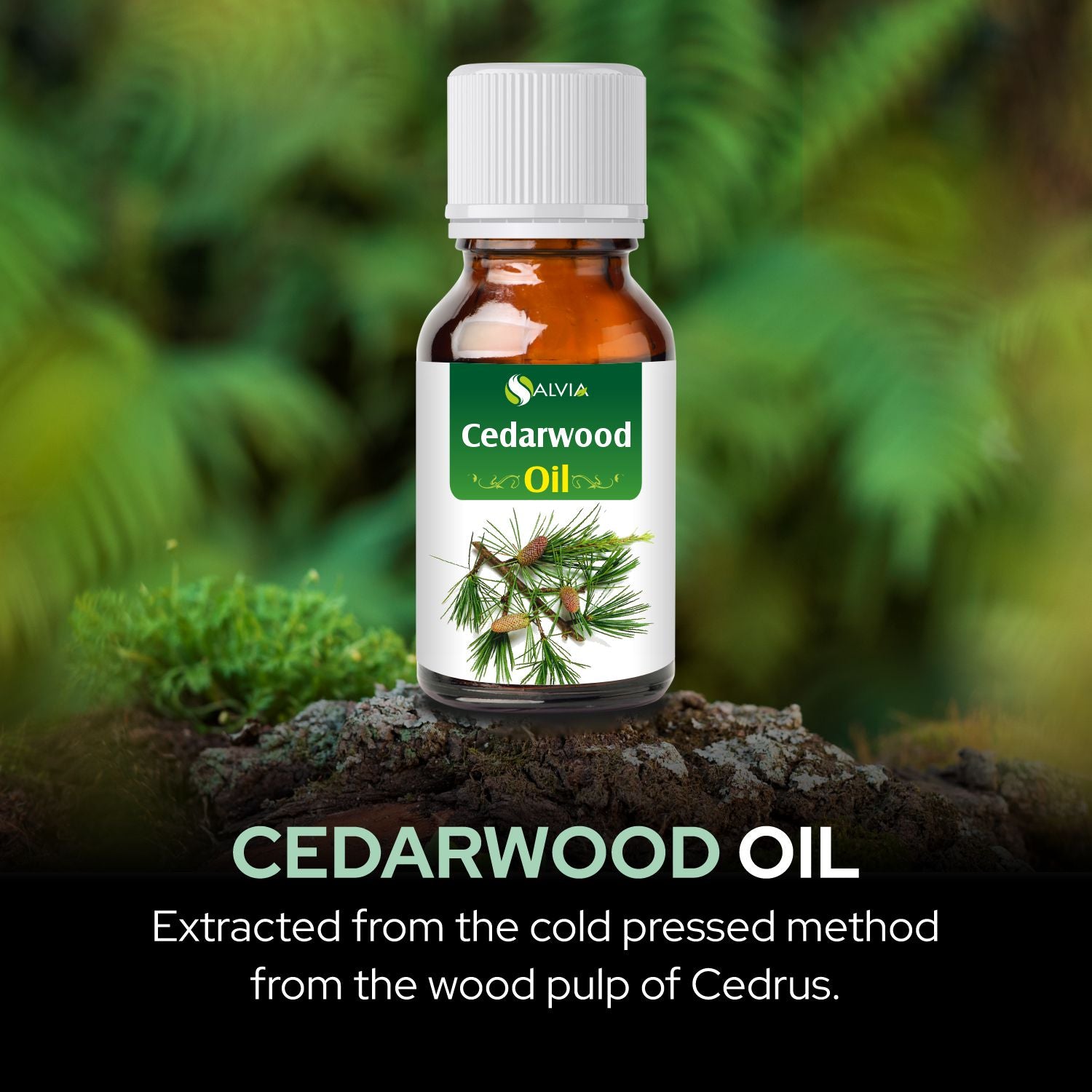 Salvia Natural Essential Oils,Dandruff,Greasy Oil,Anti Fungal,Anti-fungal Oil,Oil for Greasy Hair Cedarwood Texas Oil Salvia Natural Essential Oils,Dandruff,Greasy Oil,Anti Fungal,Anti-fungal Oil,Oil for Greasy Hair Cedarwood Texas Oil